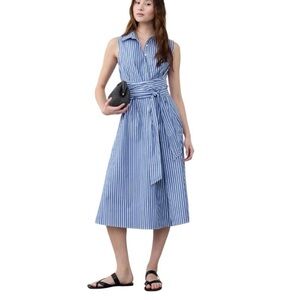 Banana Republic Stripe Dress